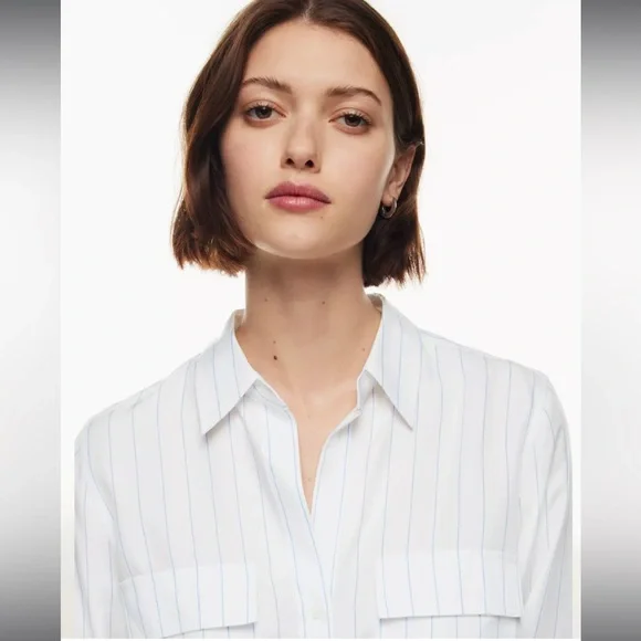 NWT Aritzia Babaton utility Seymour stripe button down shirt - Picture 5 of 13